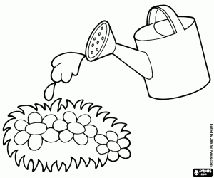 A watering can and the plants coloring page
