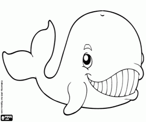 Whale coloring page
