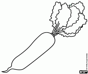 A white radish or daikon coloring page