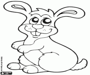 Wild rabbit coloring page