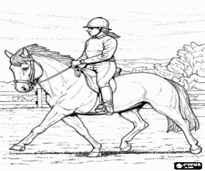 A woman on horseback coloring page