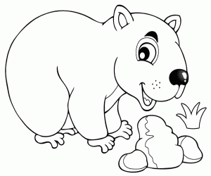 A wombat, an Australian marsupial coloring page