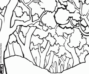 A wooded landscape coloring page