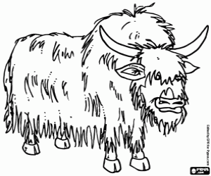 The yak, an animal of the Himalayas coloring page