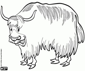 A yak, a bovid of Asia coloring page