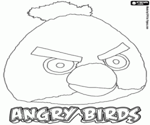 Yellow Bird and Angry Bird coloring page