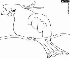 Yellow-crested cockatoo coloring page