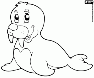 A young walrus coloring page