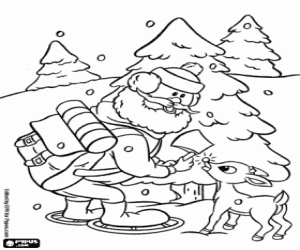 Yukon,Rudolph the reindeer and a fir coloring page