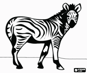 Zebra, wild animal coloring page