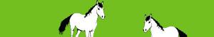 Horses coloring pages