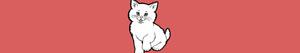Cats coloring pages