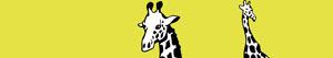 Giraffes coloring pages