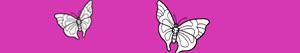 Butterflies coloring pages