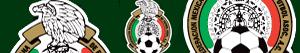 Emblems of Mexican Football Championship - Mexican Primera División FMF coloring pages