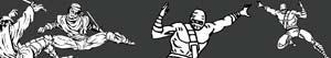 Ninja coloring pages