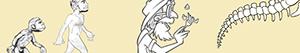 Human evolution and Archaeology coloring pages