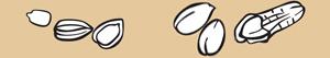 Food Ingredients Nuts and Seeds coloring pages