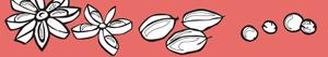 Spices coloring pages