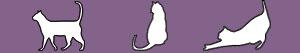 Cat silhouette coloring pages